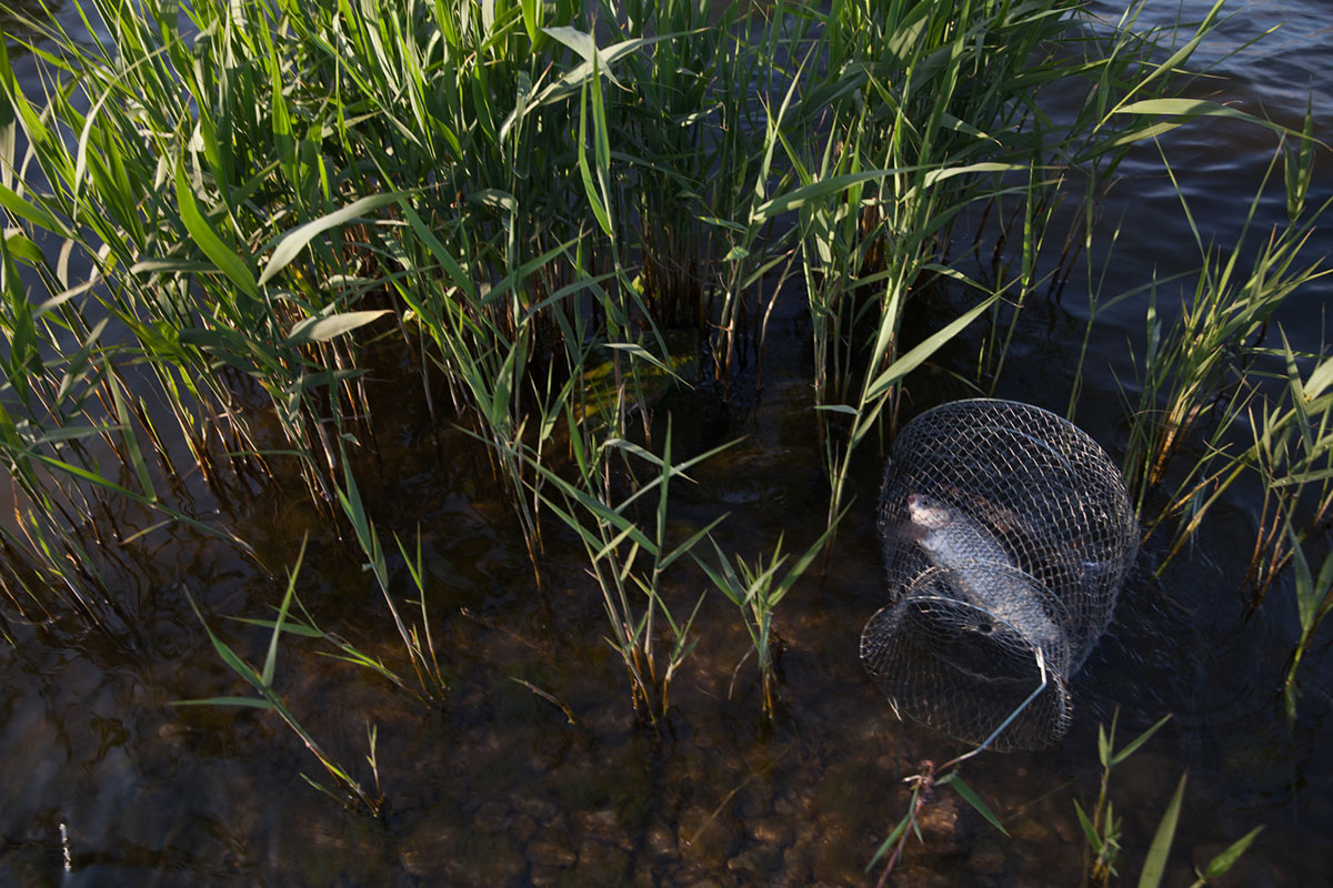 Nuclear Ukraine / Please Do Not Use