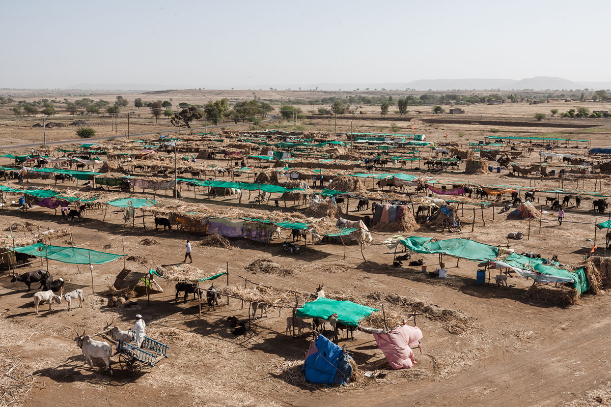 Marathwada Drought/Please Do Not Use