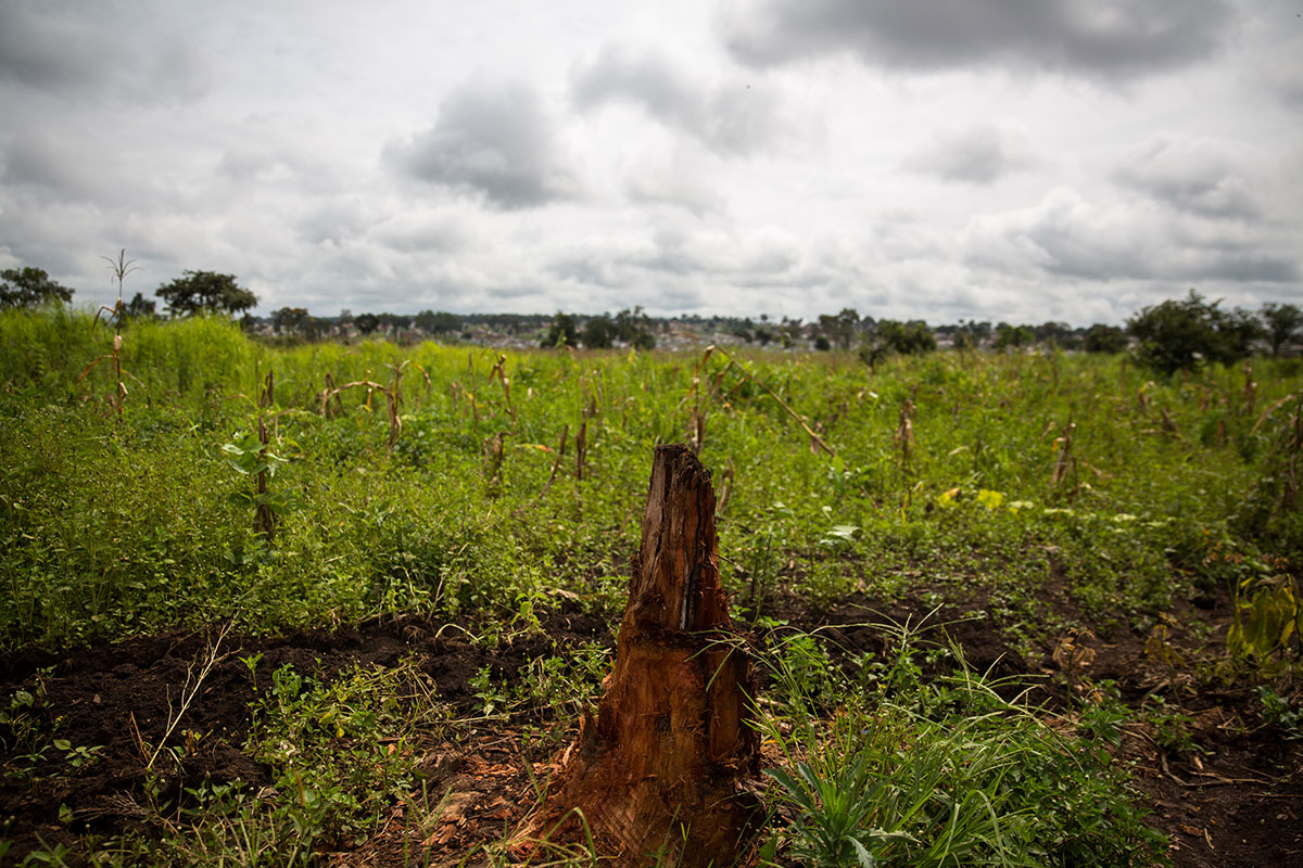 NYARUGUSU REFUGEE CAMP/ Please Do Not Use