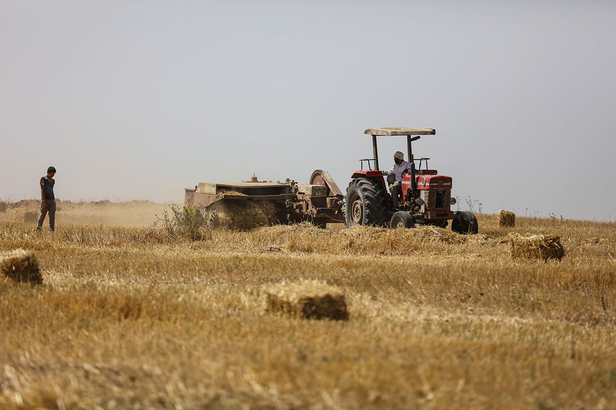 Gaza farmers working on borders with Israel/ Please Do Not Use
