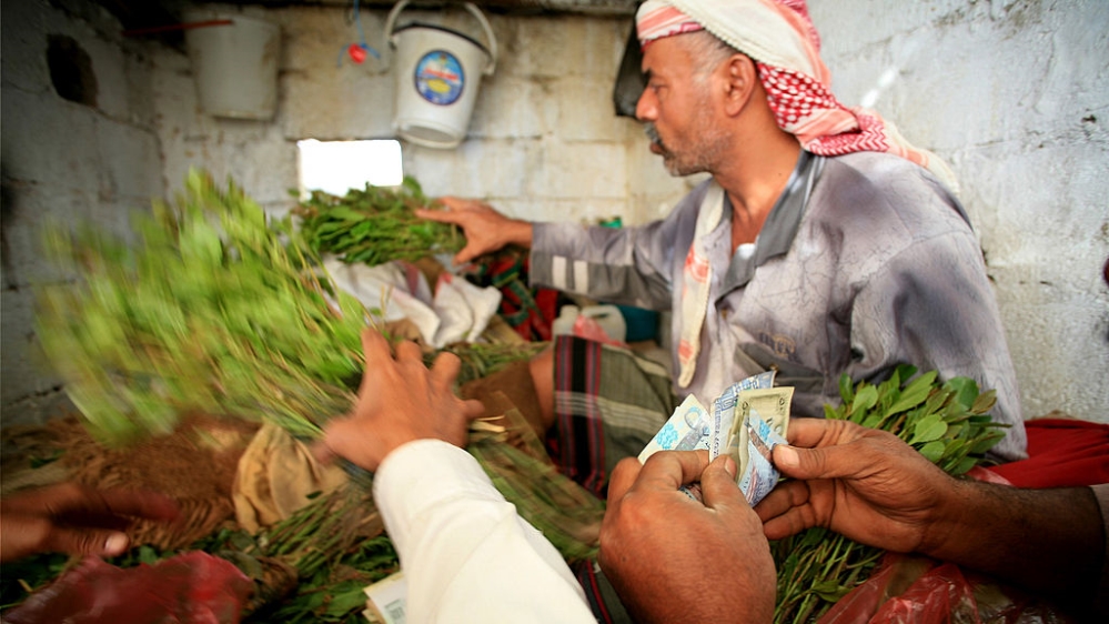 Yemen qat