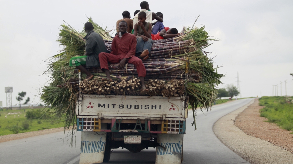 Farm labourers sit on top of sugar cane loaded at the back of a truck along Anka-Sokoto road in northeastern state of Zamfara