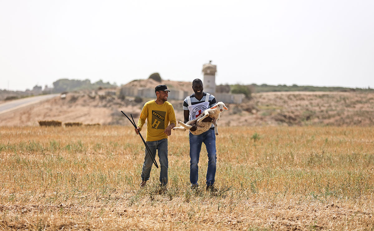 Gaza farmers working on borders with Israel/ Please Do Not Use