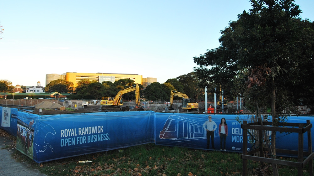 The stabling yard in Randwick, Sydney [Bill Code/Al Jazeera] 