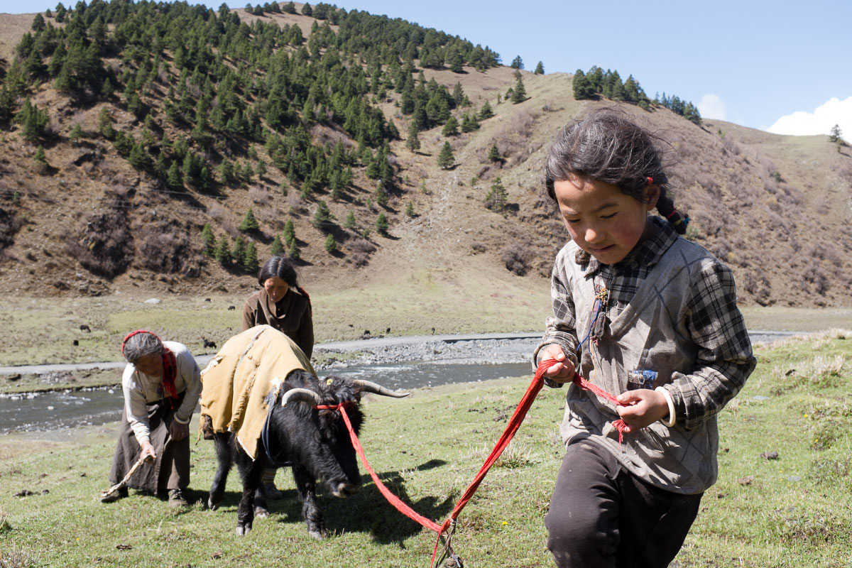 Tagong: On the Road to Tibet/ Please Do Not Use