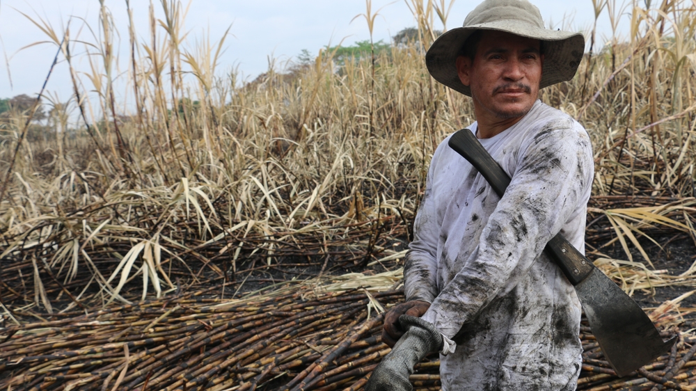 The Cure - El Salvador feature - Arwa Aburawa
