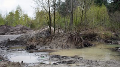 Amber mining damages thousands of hectares of land by uprooting trees [Dan Paleschuk/Al Jazeera]