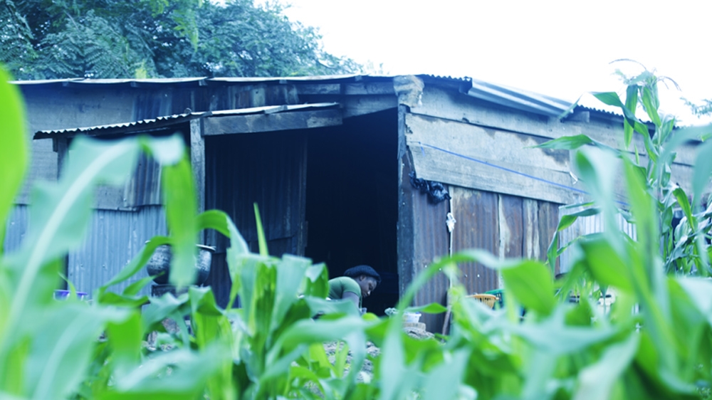 Abuja's original inhabitants are farmers. Having been displaced from their ancestral land, they farm on smaller plots near their new homes [Chika Oduah/Al Jazeera]