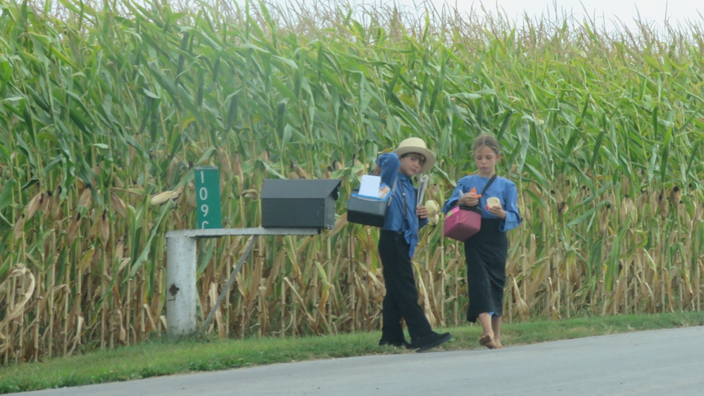 Amish voters - Please do not use