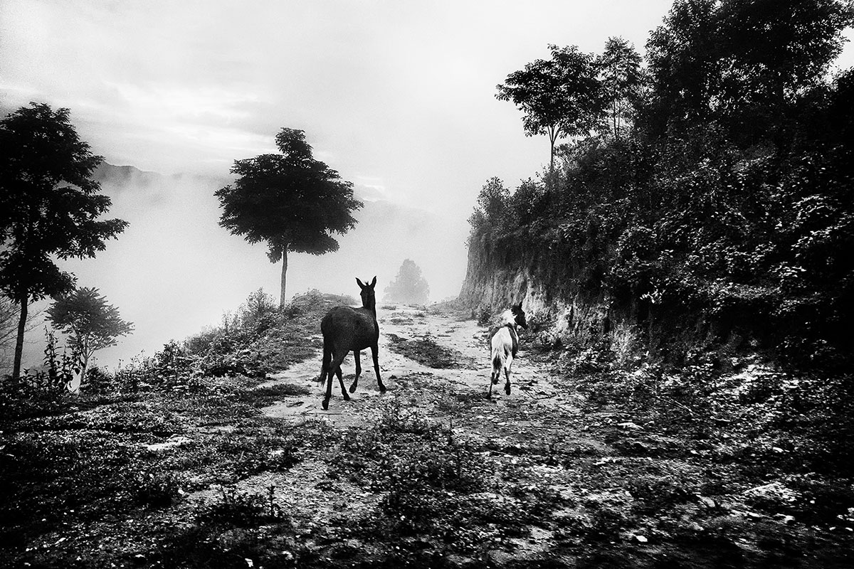 Myanmar (Burma) frontline /Please Do Not Use