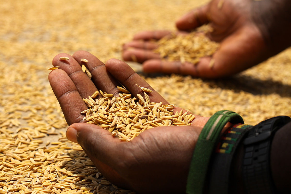 A SILENT KILLER: LEAD POISONING IN NIGERIA / Please Do Not Use