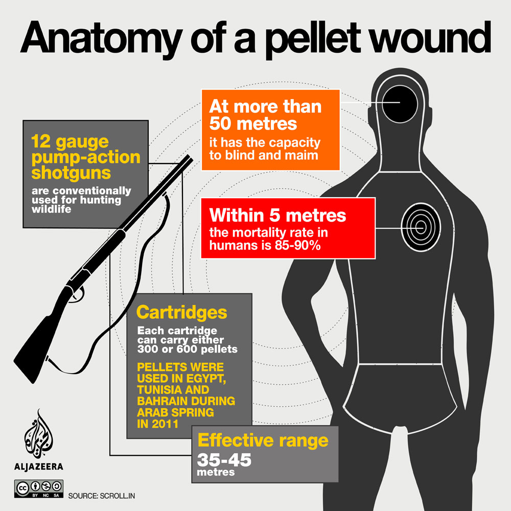 kashmir pellets snapshot