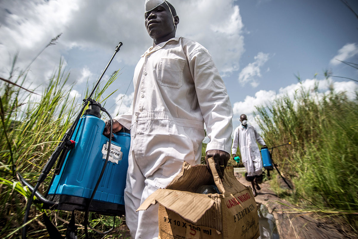 The fly catchers fighting river blindness