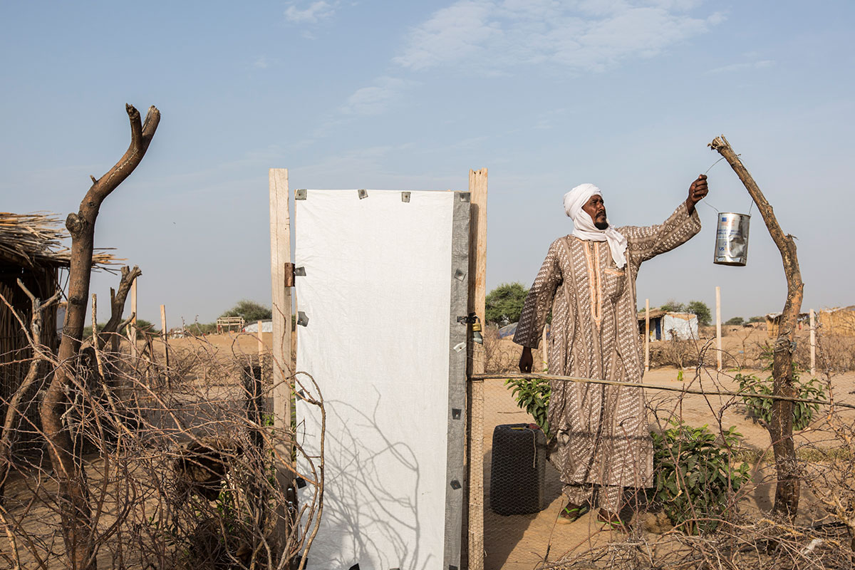 Fishing in Lake Chad/ Please Do Not Use