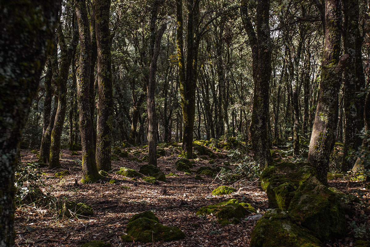 Traditional hammams/ Please Do Not Use