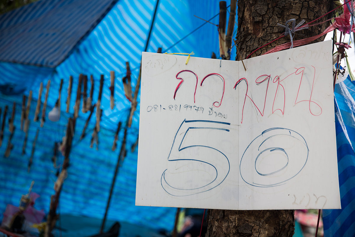 Beetle Fighting/Please Do Not Use