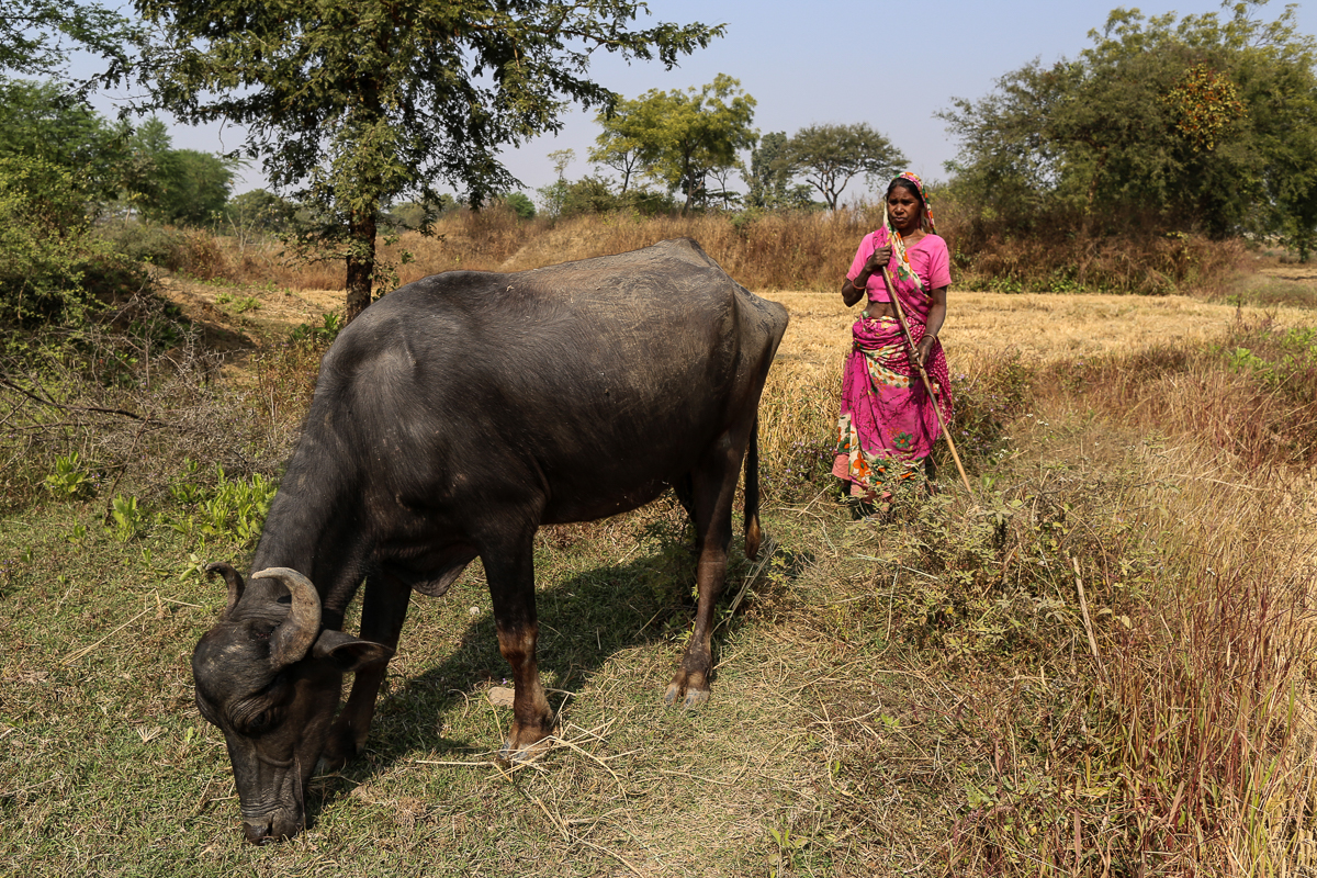 Ramnami Samaj (Untouchables) [Showkat Shafi/ Aljazeera]