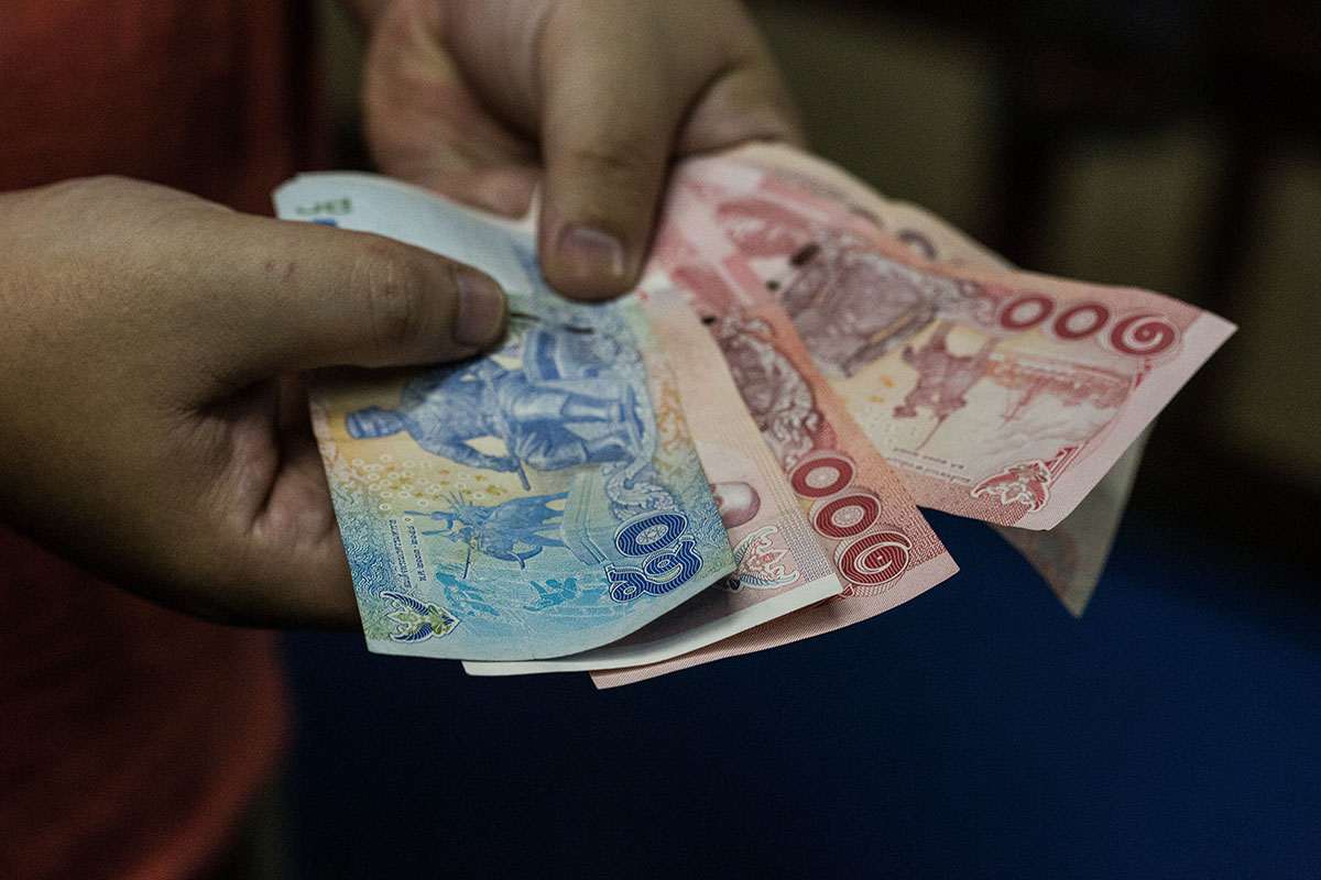 Beetle Fighting/Please Do Not Use