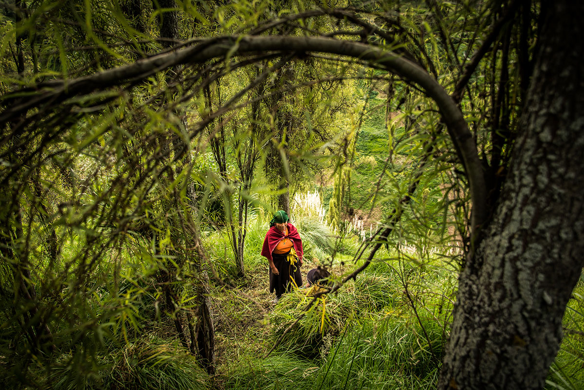 On Women’s Shoulders/ Please Do Not Use