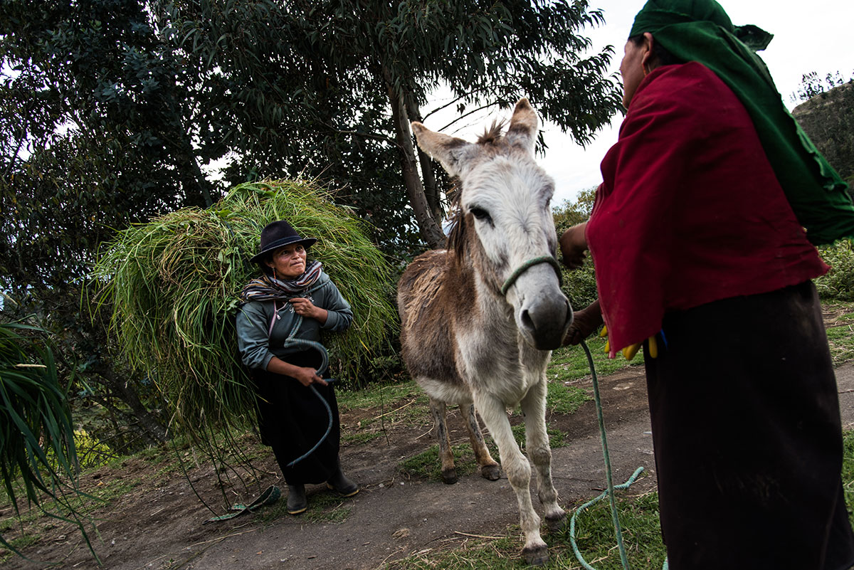 On Women’s Shoulders/ Please Do Not Use