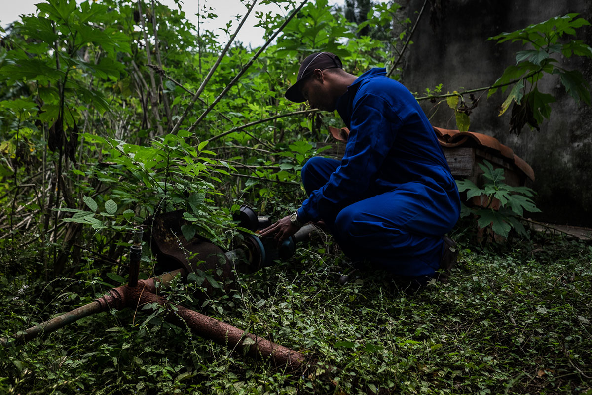 Watering down a revolution/ Please Do Not Use