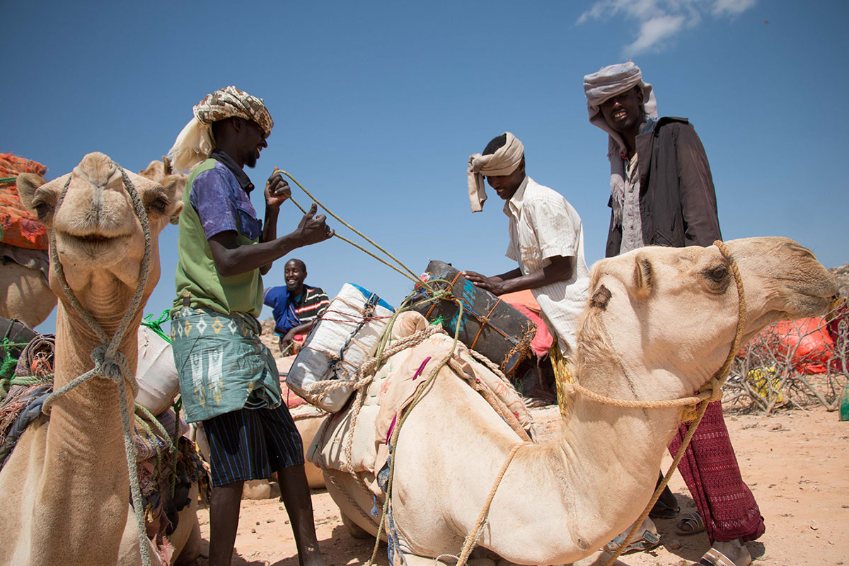 Drought strikes Puntland/ Please Do Not Use