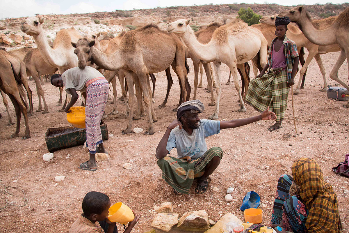 Drought strikes Puntland/ Please Do Not Use