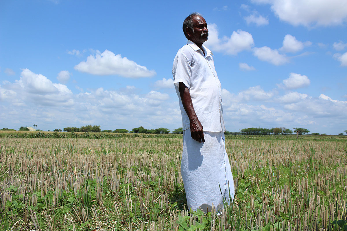 Drought adaptation/Please Do Not Use