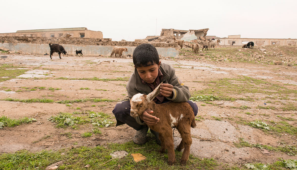 How displaced people in Iraq live/ Please Do Not Use