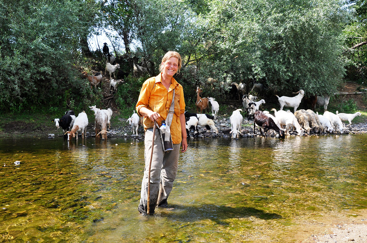 Rediscovering their roots/ Please Do Not Use