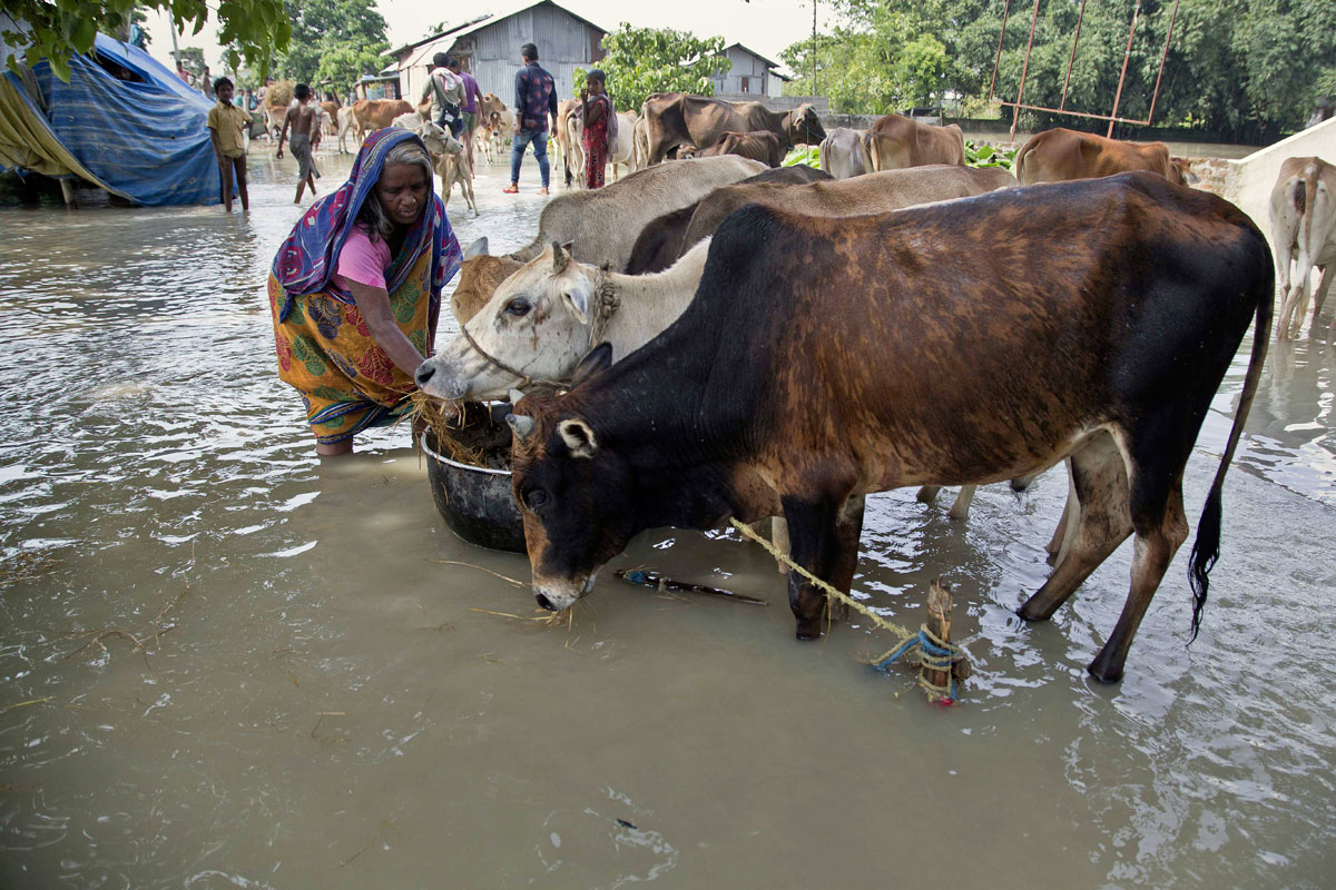 India, Nepal and Bangladesh Floods