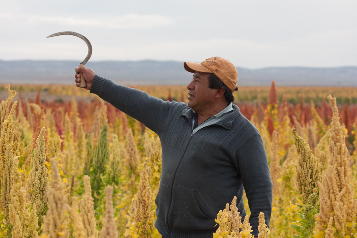 Bolivian Superfood''s Harvest/Please Do Not Use
