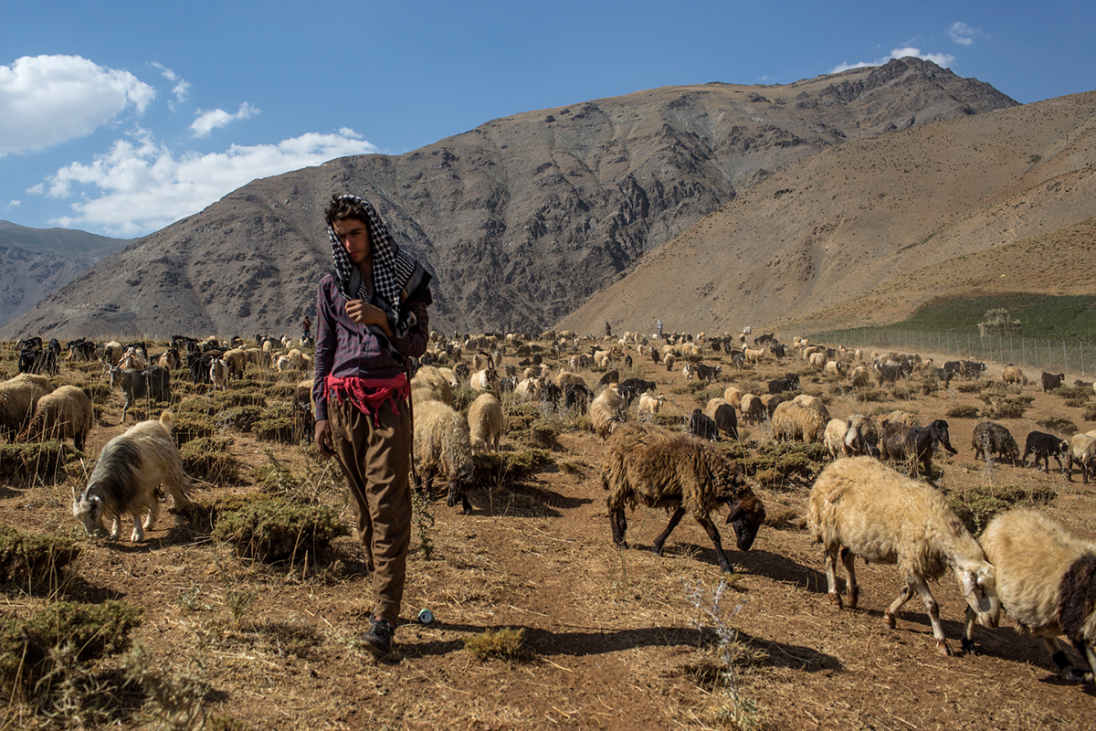 Smuggling through Iraq-Iran Kurdistan region/Please Do Not Use