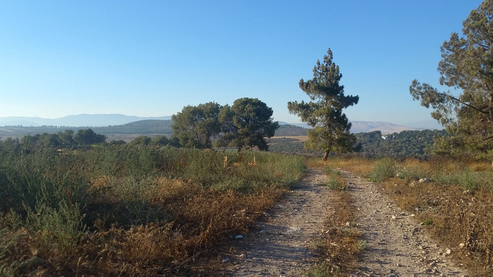  'I would tell every Palestinian to travel to Palestine. Go see your homeland, your roots and feel the belonging' [Courtesy of Jamal Rashdan]