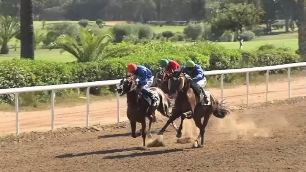 Horses of Misfortune