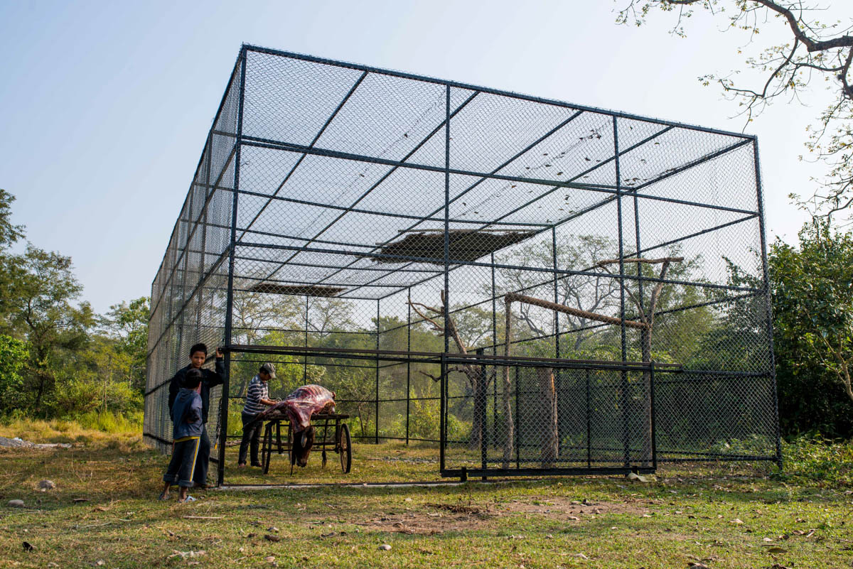 The vulture restaurant