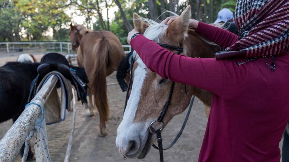 Equine therapy for refugees