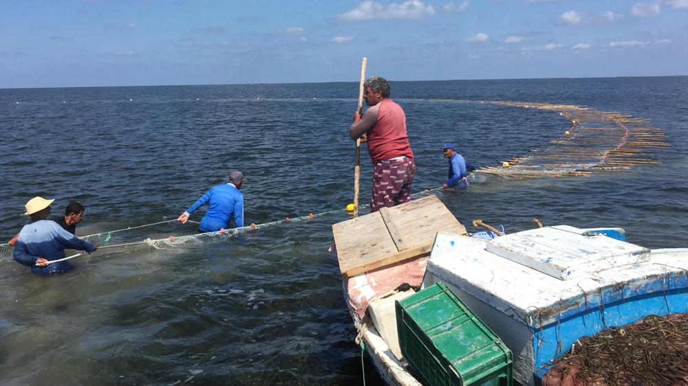 Climate change is threatening the livelihoods of Tunisia's fishermen [Al Jazeera]