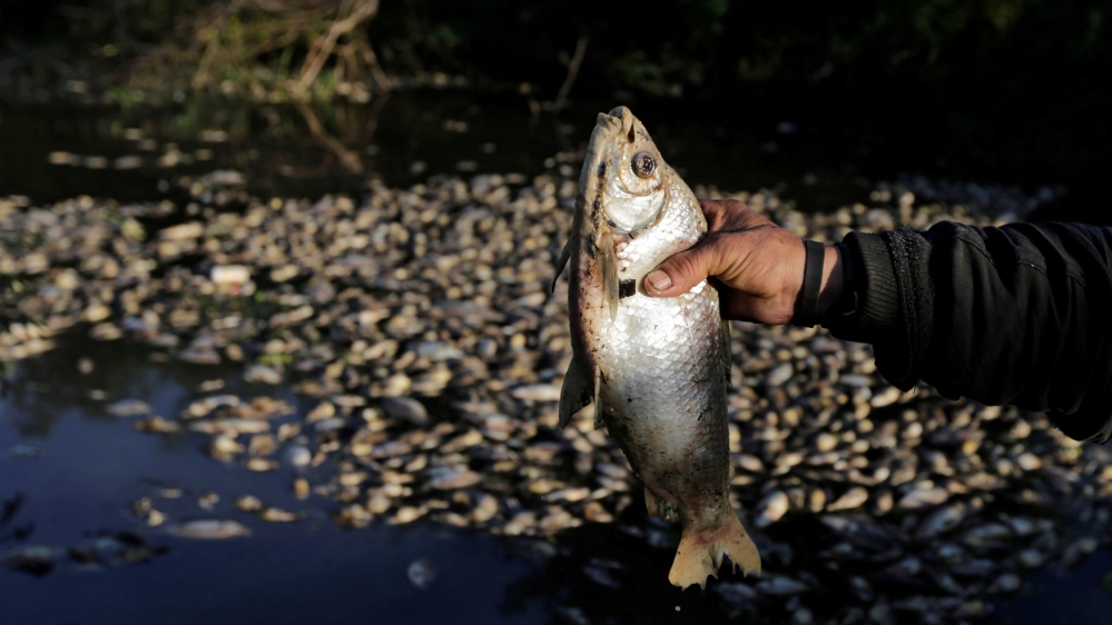 Biodiversity report IPBES