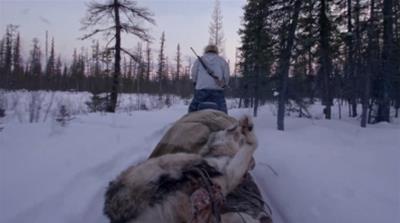 Siberian hunter Ion Maxsimovic has full support of the state to curb the exploding wolf population [Al Jazeera]