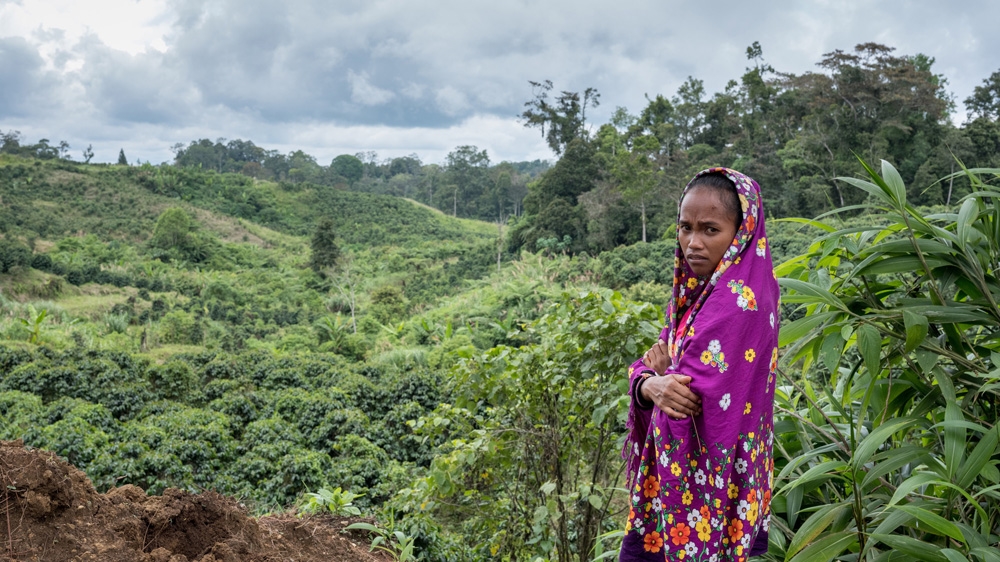 Consumer demand for products like fruit and palm oil are driving land grabs [Thom Pierce/Guardian/Global Witness/UN Environment] 