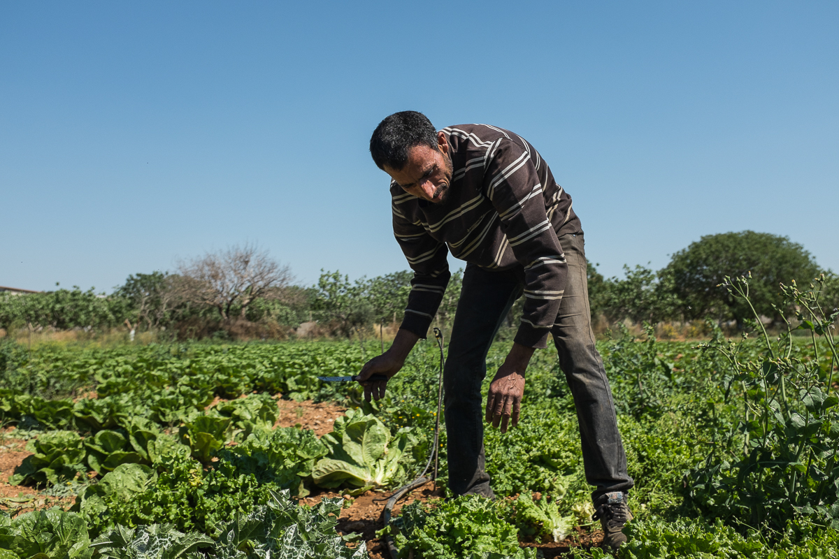 Between bureaucracy and violence, Pakistanis in Greece push back