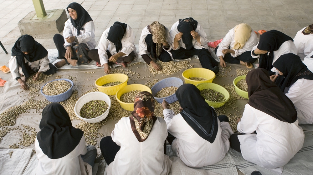Iran and the US produce 85 percent of the world's annual pistachio output [Reuters] 