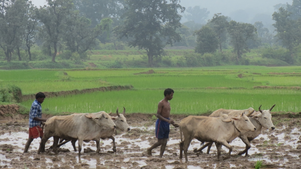 DO NOT USE India Jharkand