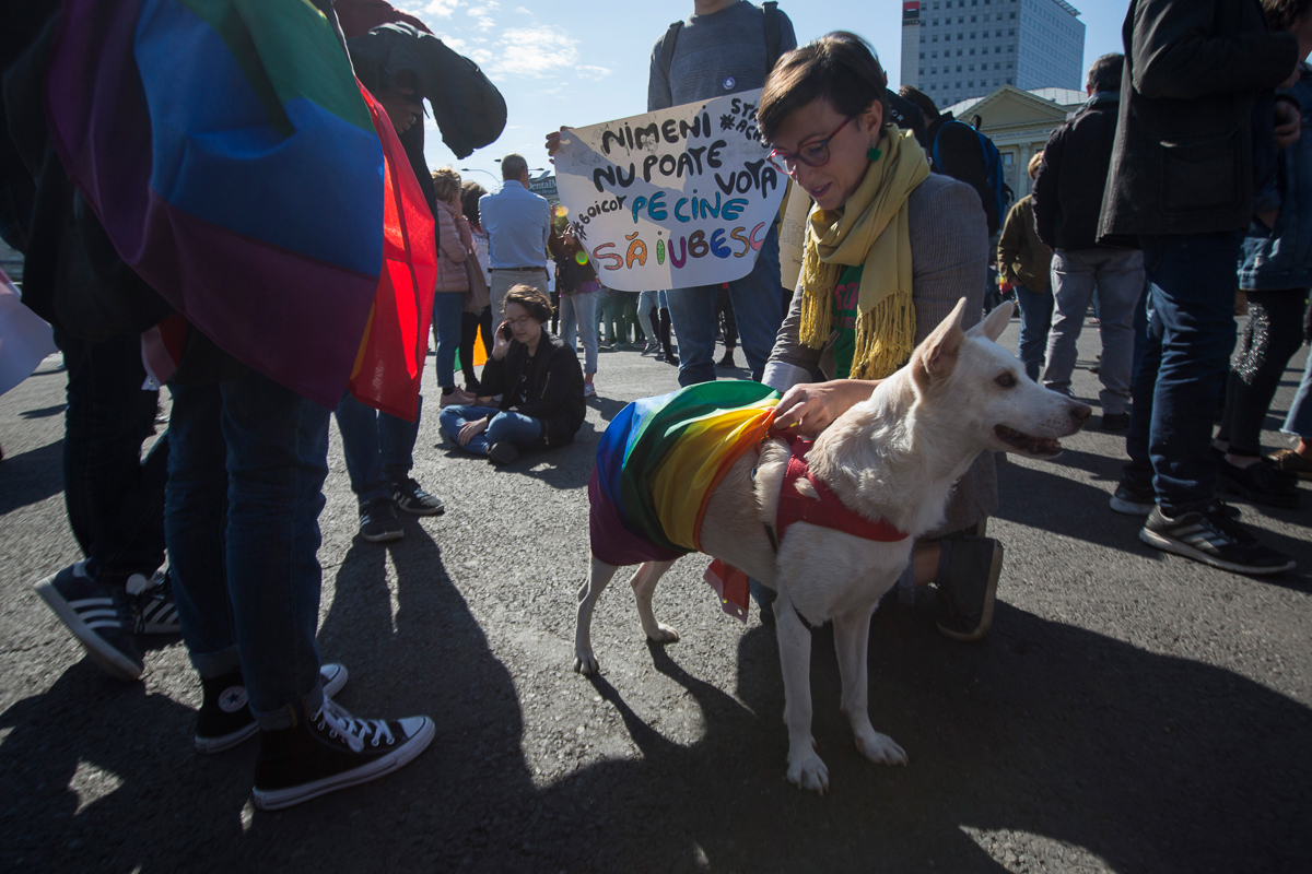 8 [Alexandra Radu/Al Jazeera]