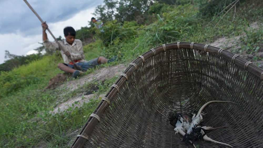 A Koi man digs for lizards and spiders to eat [Matt Blomberg/Al Jazeera]