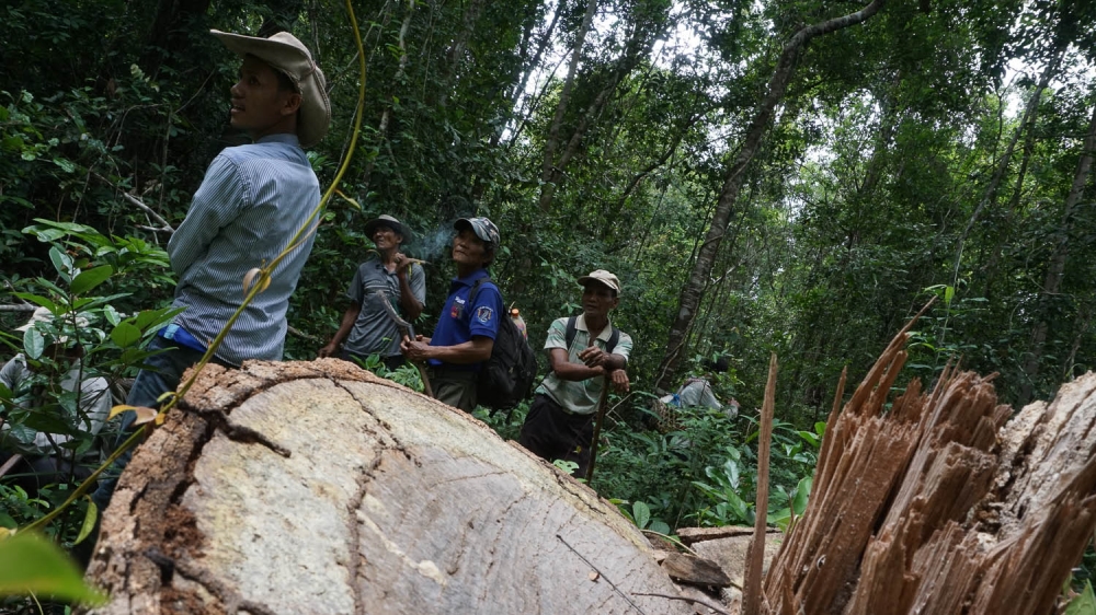 The patrol team prepares to change direction after hearing the sound of a chainsaw in the distance [Matt Blomberg/Al Jazeera]