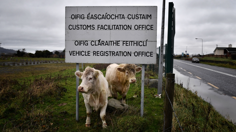 Cows stand beneath a sign for the diused Customs Office along the Irish border [Charles McQuillan/Getty Images]