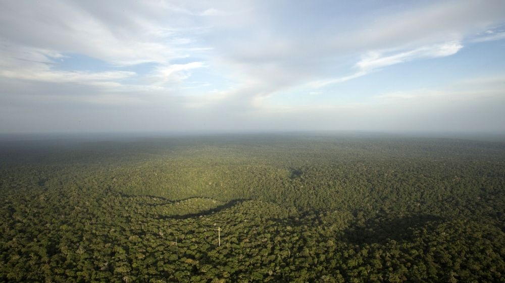 Amazon forest Reuters