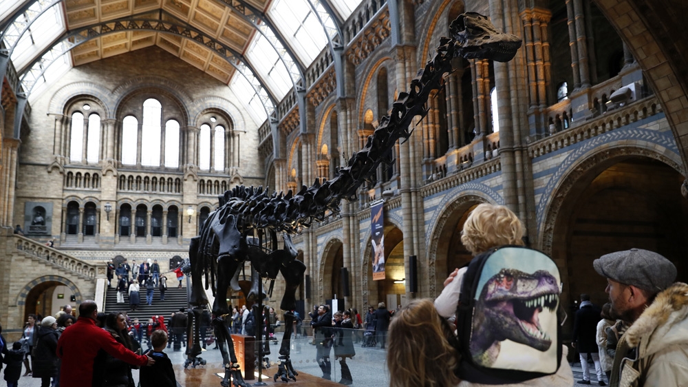 Natural History Museum